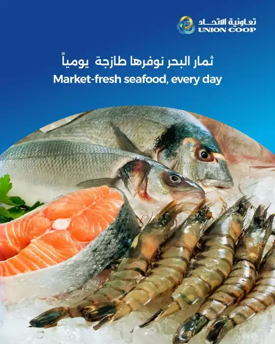 Union Coop catalogue | Wide selection of offers | 2025-12-25T00:00:00.000Z - 2026-01-08T00:00:00.000Z