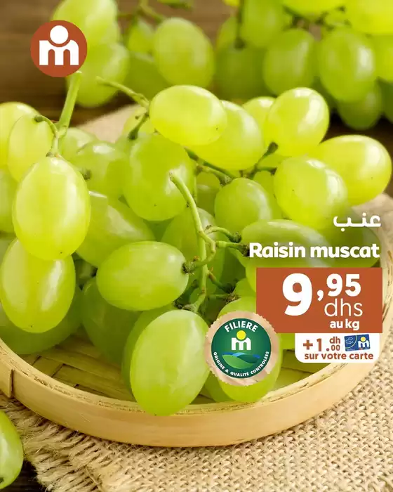 Nos meilleures offres pour vous