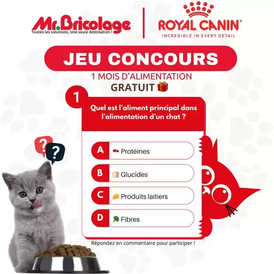 Catalogue Mr.Bricolage à Safi | Super offre pour tous les clients | 2026-01-29T00:00:00.000Z - 2026-02-12T00:00:00.000Z