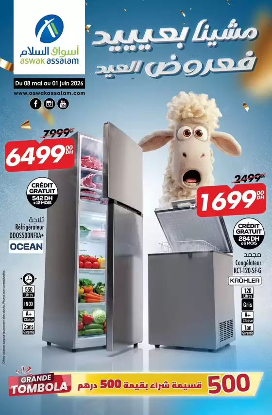 main_flyer image