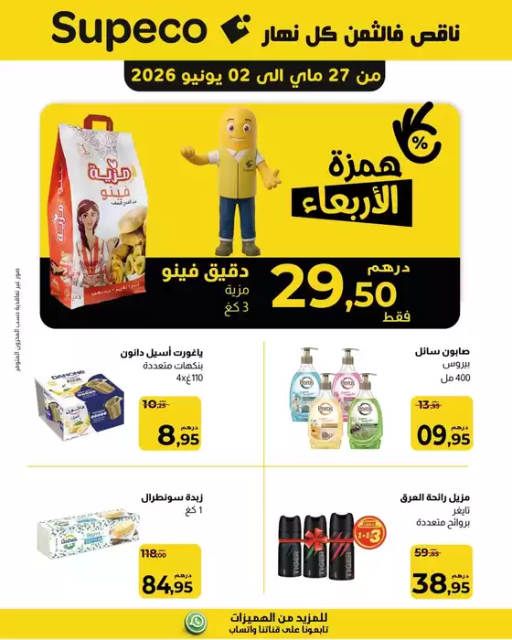 main_flyer image