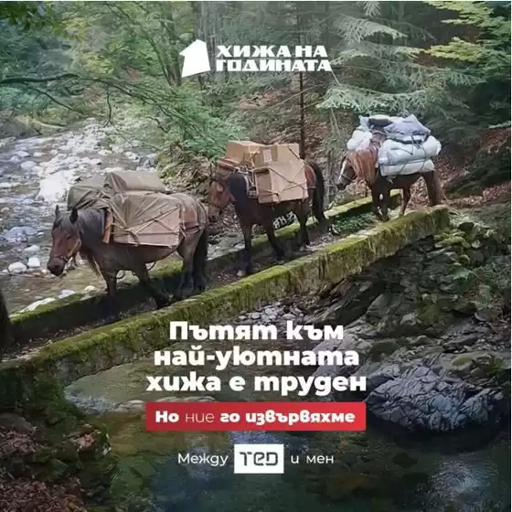 Каталог на Матраци ТЕД | Отстъпки и промоции | 2026-10-27T00:00:00.000Z - 2026-11-10T00:00:00.000Z