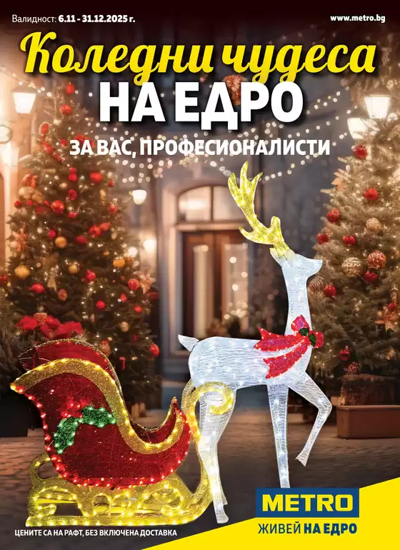 Каталог на Метро в Нови Искър | Коледна декорация за професионалисти | 2025-11-06T00:00:00.000Z - 2025-12-31T00:00:00.000Z