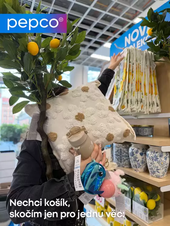 Pepco katalog | Objevte atraktivní nabídky | 2026-04-29T00:00:00.000Z - 2026-05-13T00:00:00.000Z