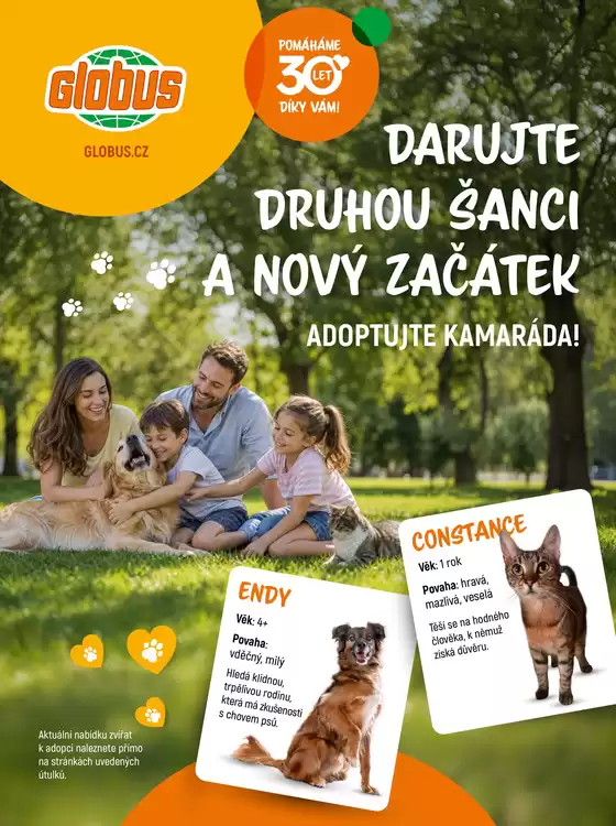 Globus katalog | Globus 37 26 K5 PET DOBRO | 2026-09-07T00:00:00.000Z - 2026-10-31T00:00:00.000Z