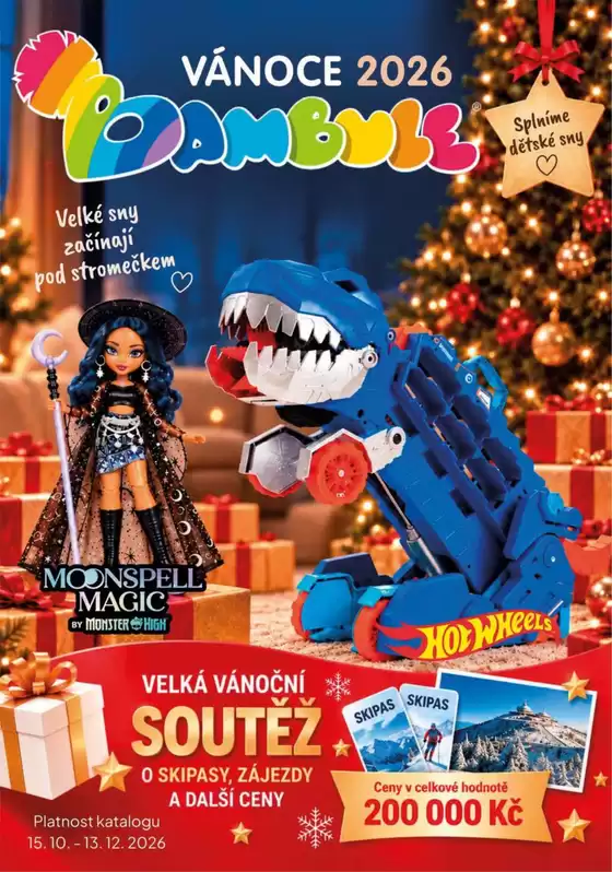main_flyer image