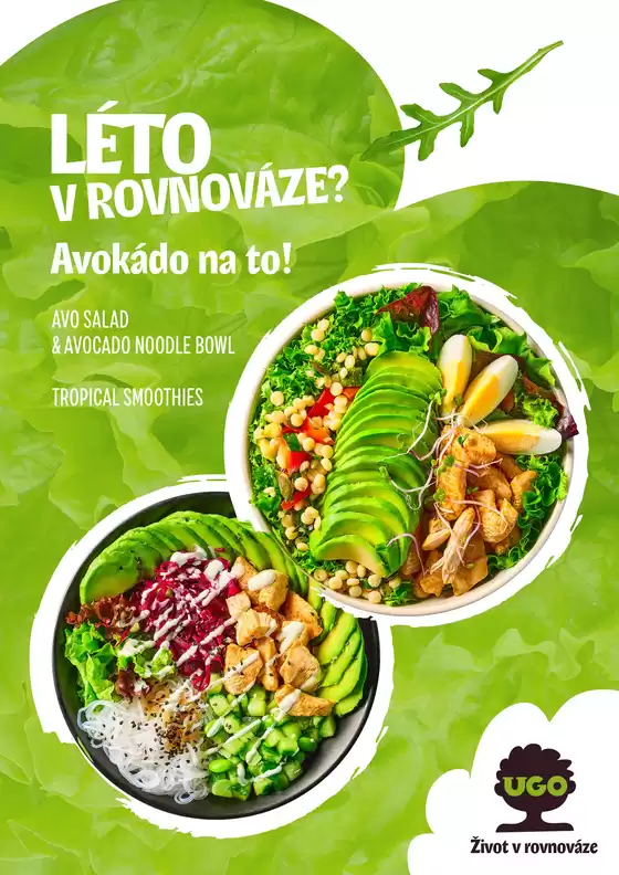 Léto v rovnováze