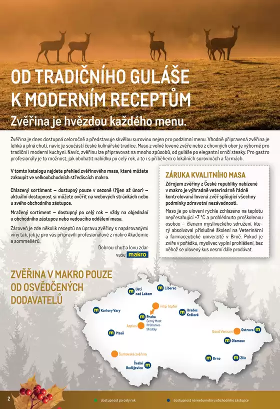 Zvěřina
