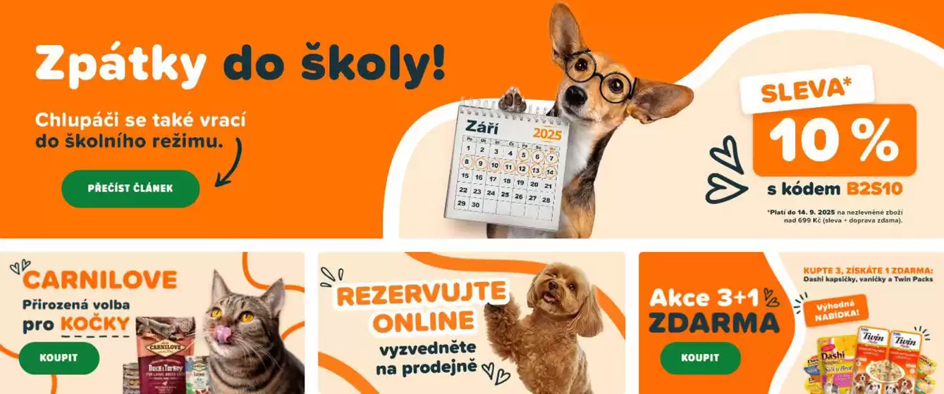Zpátky do školy!