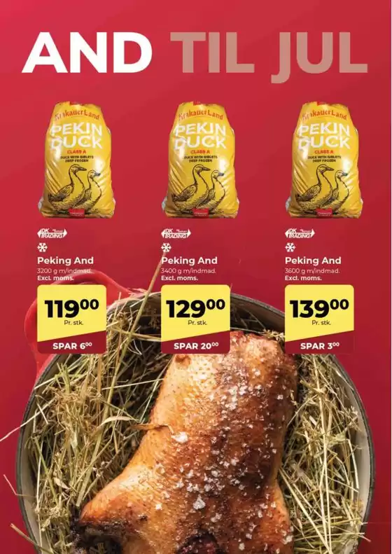 Global November 2025 web.pdf