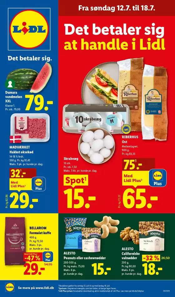 main_flyer image