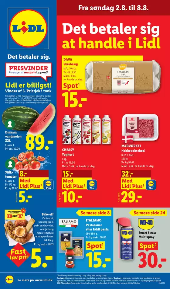 main_flyer image
