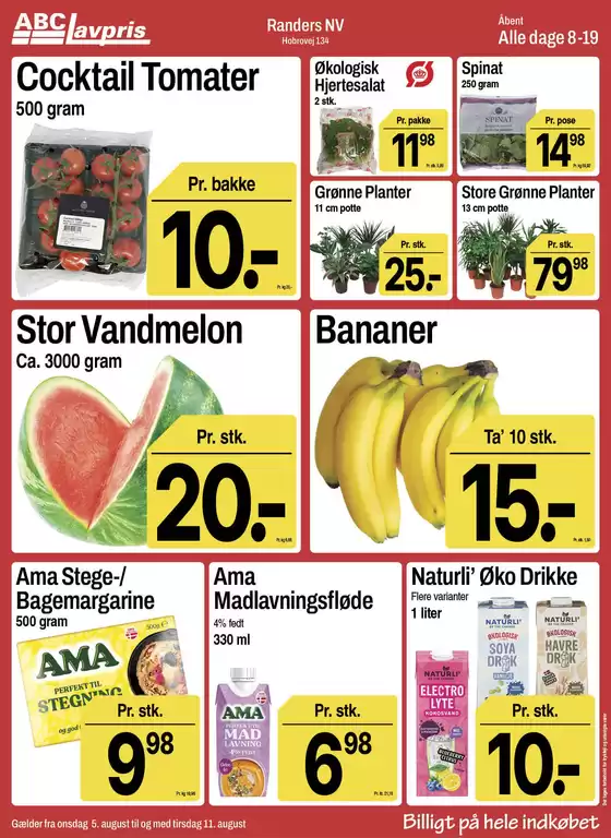 main_flyer image