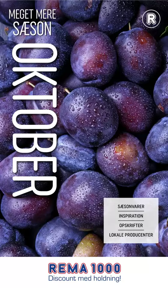 Rema 1000 katalog i København | Meget mere sæson - oktober | 2026-10-01T00:00:00.000Z - 2026-10-31T00:00:00.000Z