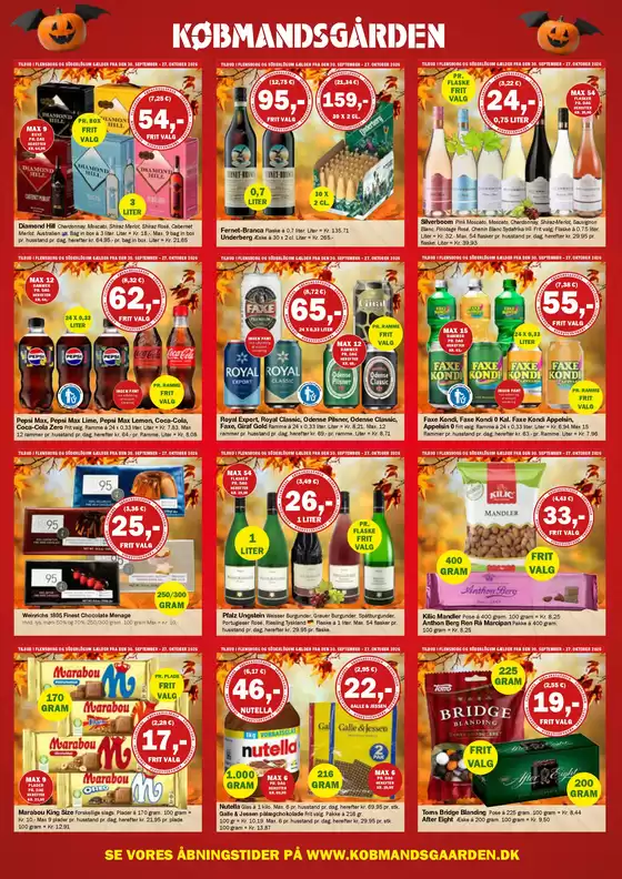 main_flyer image