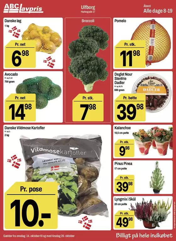 main_flyer image