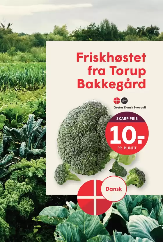 Særtilbud til dig