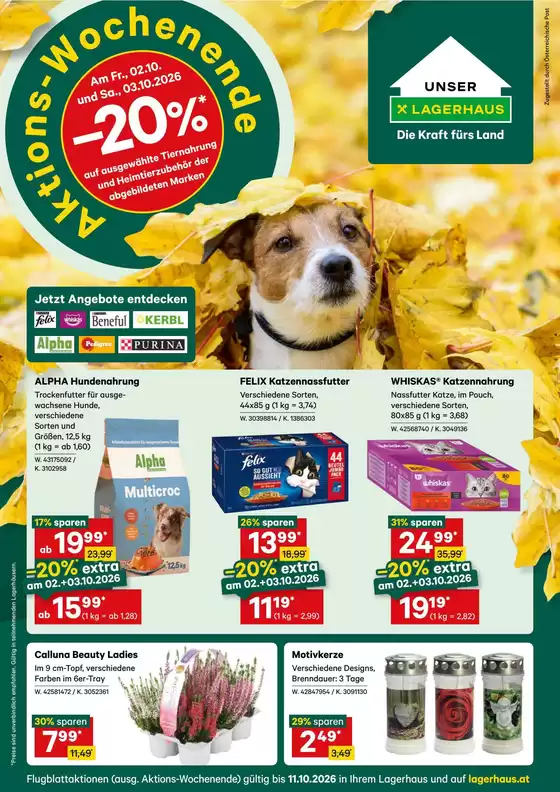 Lagerhaus Katalog | Lagerhaus flugblatt oktober anfang | 2026-10-02T00:00:00.000Z - 2026-11-10T00:00:00.000Z