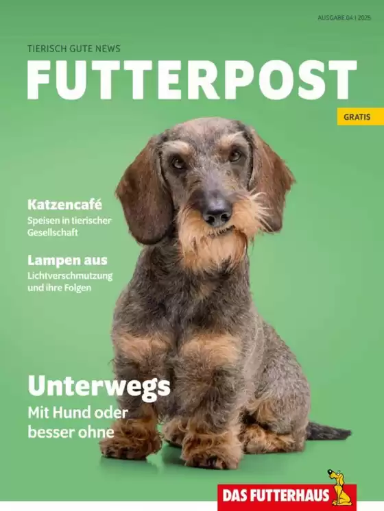 Aktuelle Deals und Angebote