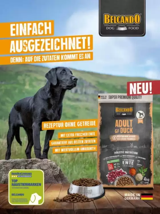 Aktuelle Deals und Angebote