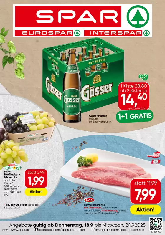 Unsere besten Angebote für Sie