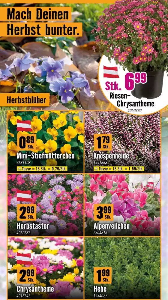 HORNBACH AT