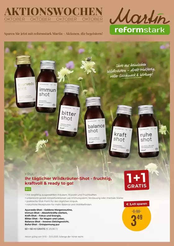 Martin Reformstark flugblatt