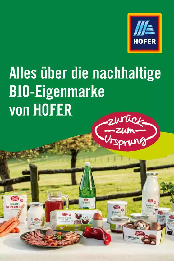 Hofer Katalog | Zurück zum Ursprung-Fibel | 2025-10-18T00:00:00.000Z - 2025-11-01T00:00:00.000Z