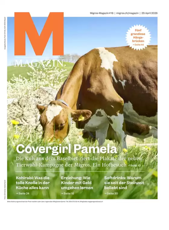 Migros Katalog | Migros reklamblad - DE Basel | 2026-04-29T00:00:00.000Z - 2026-04-29T00:00:00.000Z