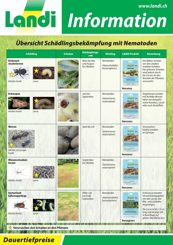 Landi Katalog | Sonderängbot für Sie | 2026-03-01T00:00:00.000Z - 2026-10-31T00:00:00.000Z