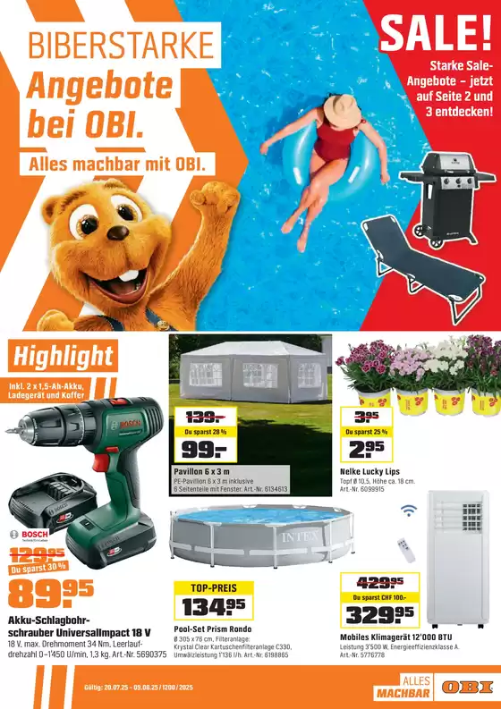 Alles machbar mit OBI.