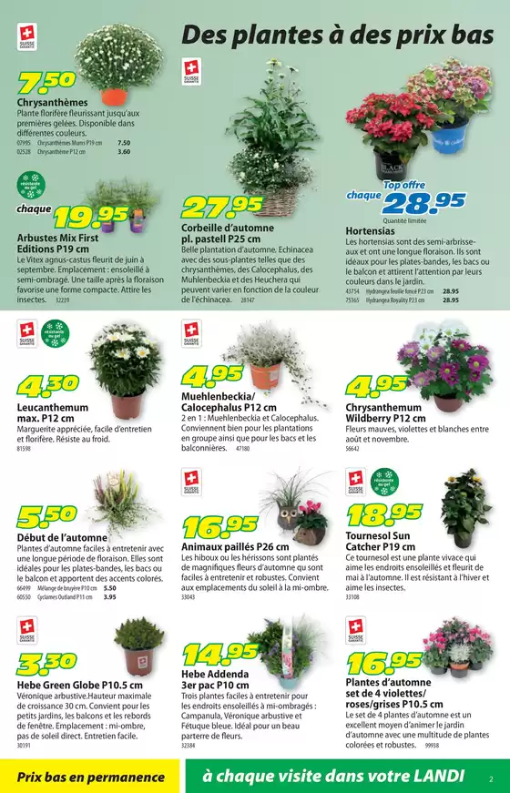 Top-Deals für alli Chunde