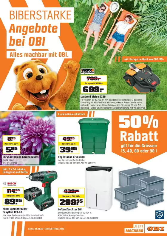 Alles machbar mit OBI.