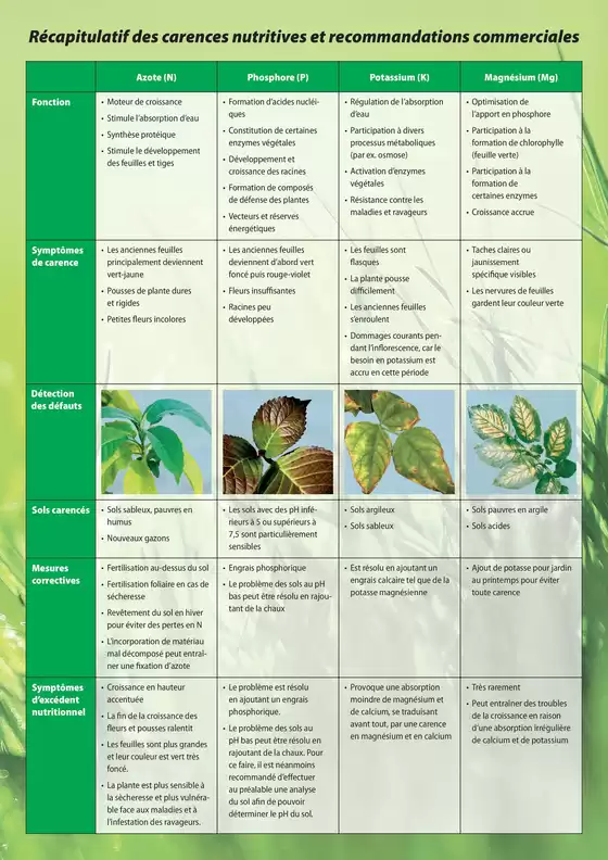 Landi Katalog | Attraktiivi Sonderängbot für alli | 2025-10-04T00:00:00.000Z - 2025-10-18T00:00:00.000Z