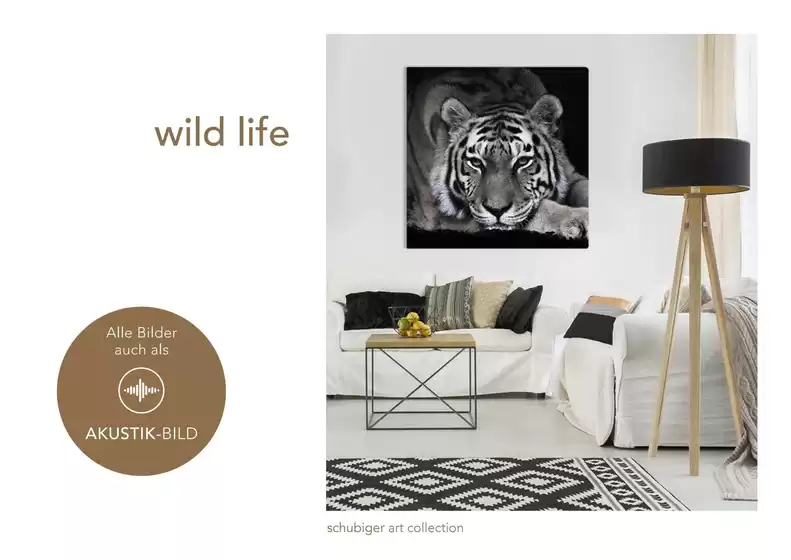 Neui Ängbot zum Entdecke