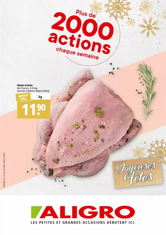 Aligro Katalog in Schwyz | Aligro reklamblad | 2025-12-15T00:00:00.000Z - 2025-12-24T00:00:00.000Z