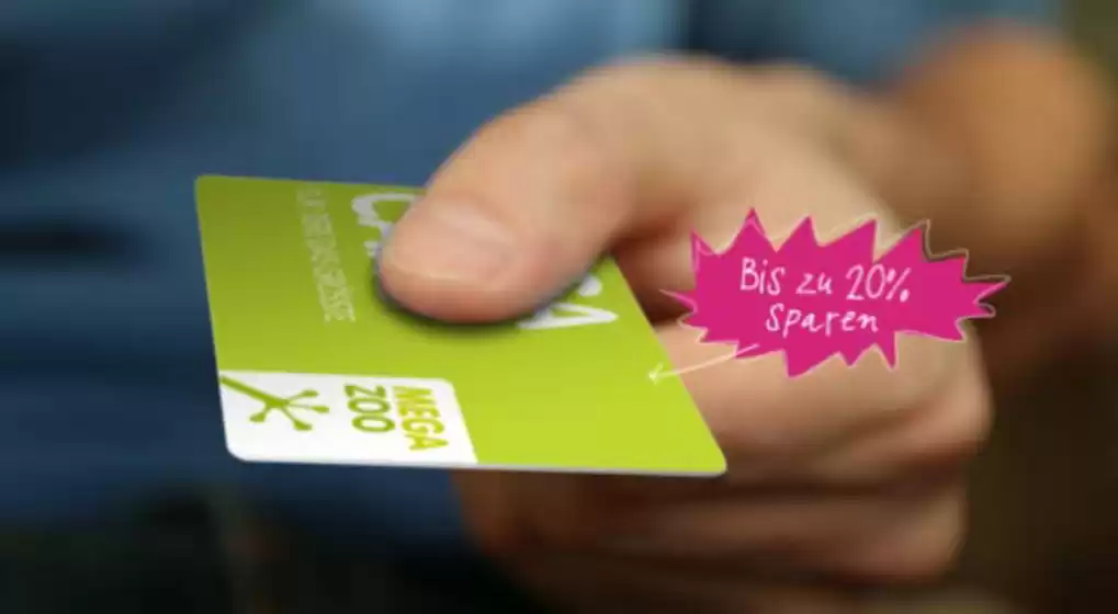 Bis Zu 20% Sparen