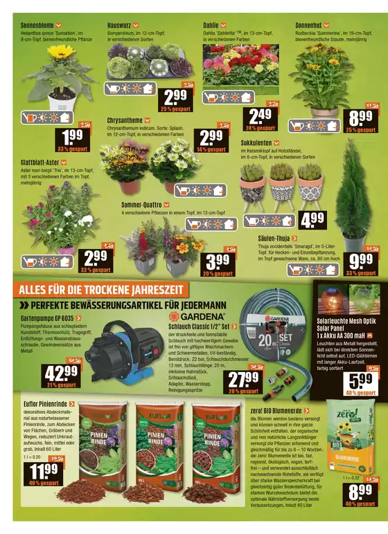 Neue Angebote zum Entdecken