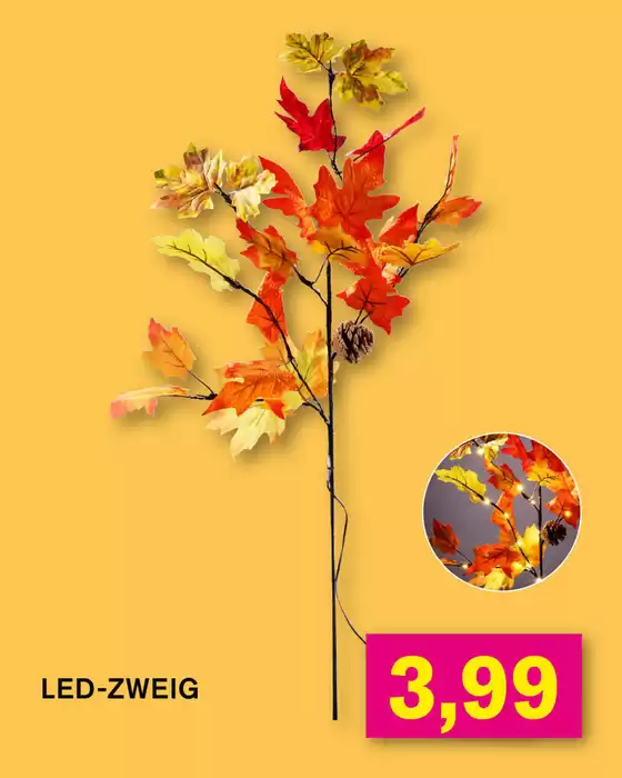 Exklusive Deals für unsere Kunden