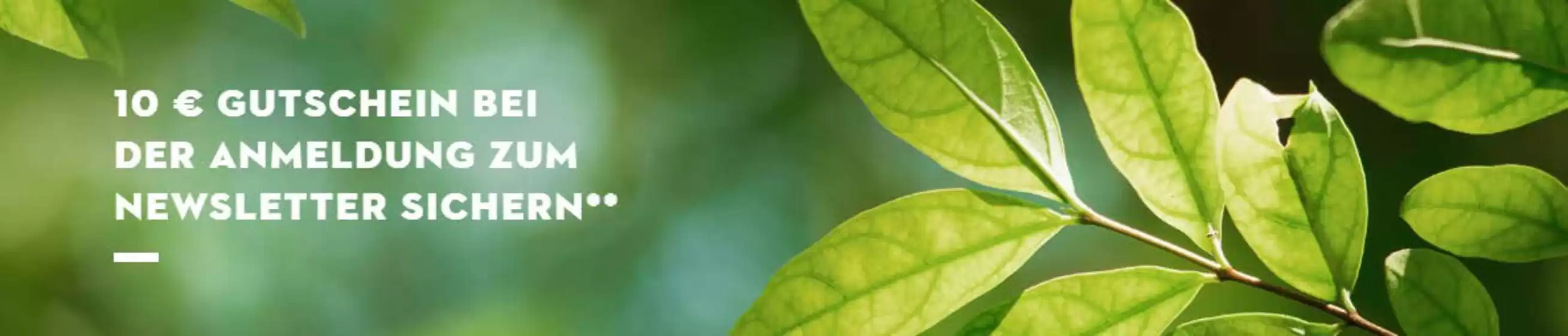 10€ Gustchein Bei Der Anmeldung Zum Newsletter Sichern