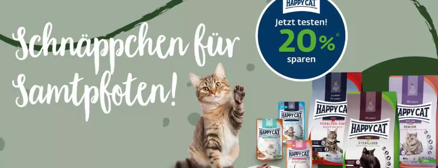 Jetzt Testen 20% Sparen
