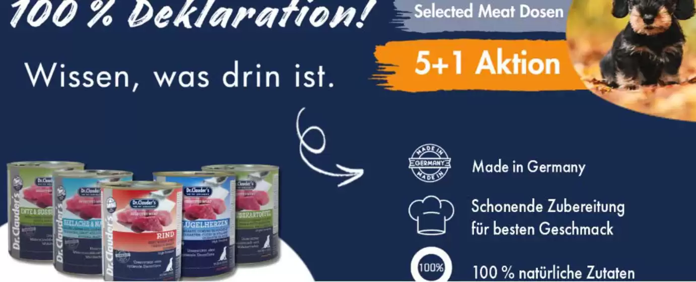 Jetzt Testen 20% Sparen