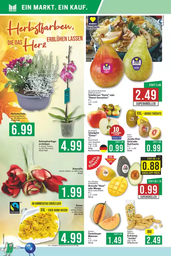 Top-Deals und Rabatte