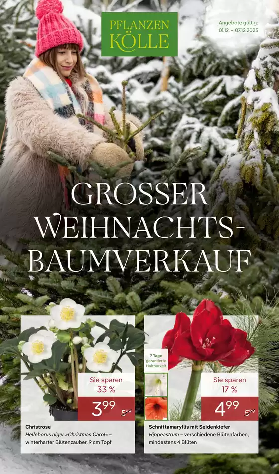 Pflanzen Kölle Katalog | GROSSER WEIHNACHTSBAUMVERKAUF | 2025-12-04T00:00:00.000Z - 2025-12-07T00:00:00.000Z
