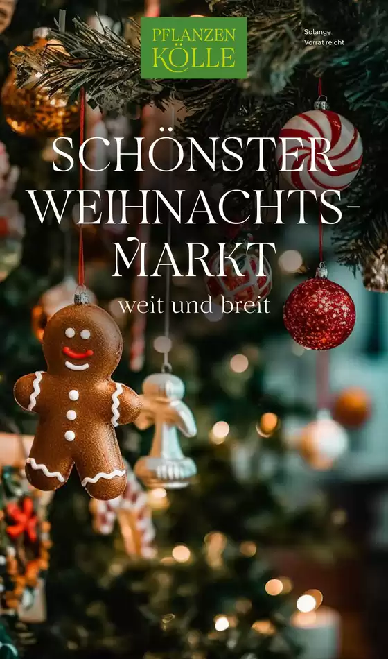 Pflanzen Kölle Katalog | SCHÖNSTER WEIHNACHTSMARKT | 2025-12-04T00:00:00.000Z - 2025-12-09T00:00:00.000Z