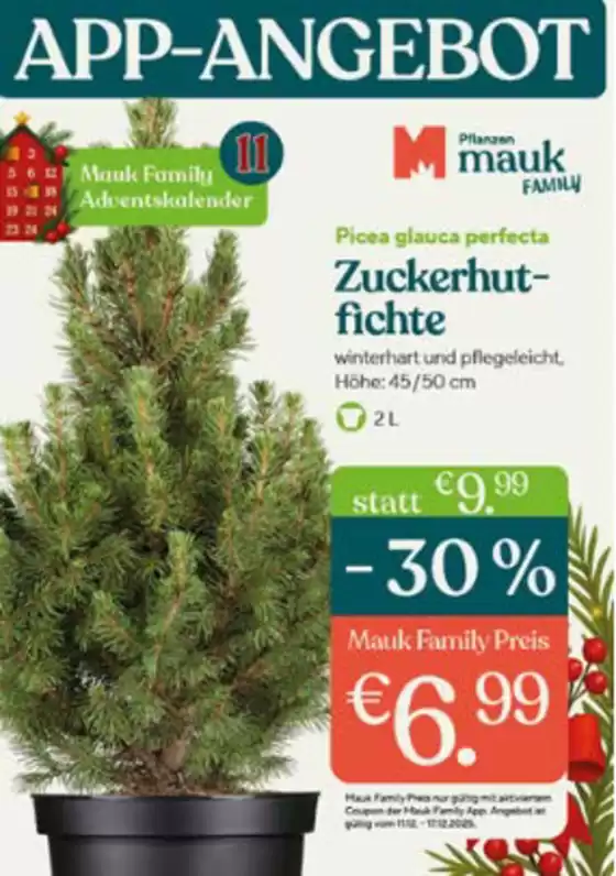 Hark Kamine Katalog in Freiburg im Breisgau | APP-ANGEBOT~ | 2025-12-11T00:00:00.000Z - 2026-01-02T00:00:00.000Z