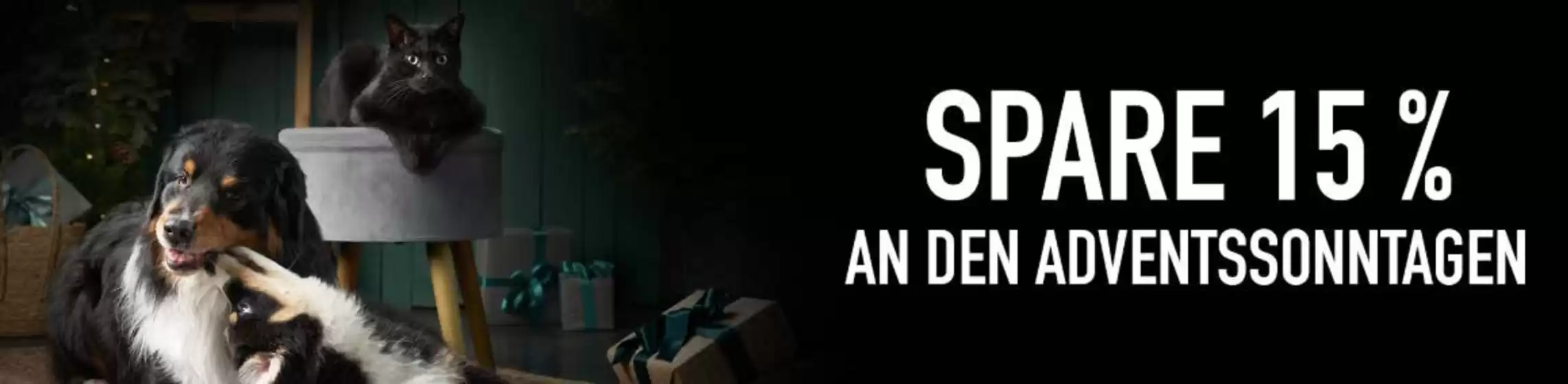 Kölle Zoo Katalog in Freiburg im Breisgau | Spare 15% | 2025-12-11T00:00:00.000Z - 2025-12-16T00:00:00.000Z