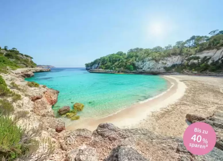 DER Katalog in Eisfeld | Bis Zu 40% Sparen` | 2026-02-03T00:00:00.000Z - 2026-02-14T00:00:00.000Z