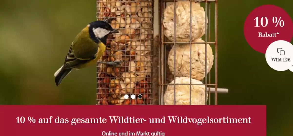 Dehner Katalog in Babenhausen (Hessen) | 10% Rabatt* | 2026-02-04T00:00:00.000Z - 2026-02-23T00:00:00.000Z