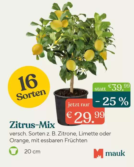 Pflanzen Mauk Katalog in Taufkirchen (München) | App-Angebot | 2026-03-05T00:00:00.000Z - 2026-03-15T00:00:00.000Z